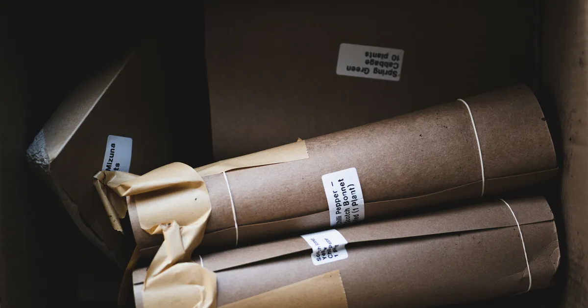 eCommerce parcels