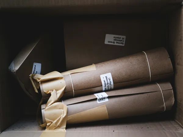 eCommerce parcels
