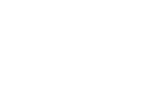 Numadic logo
